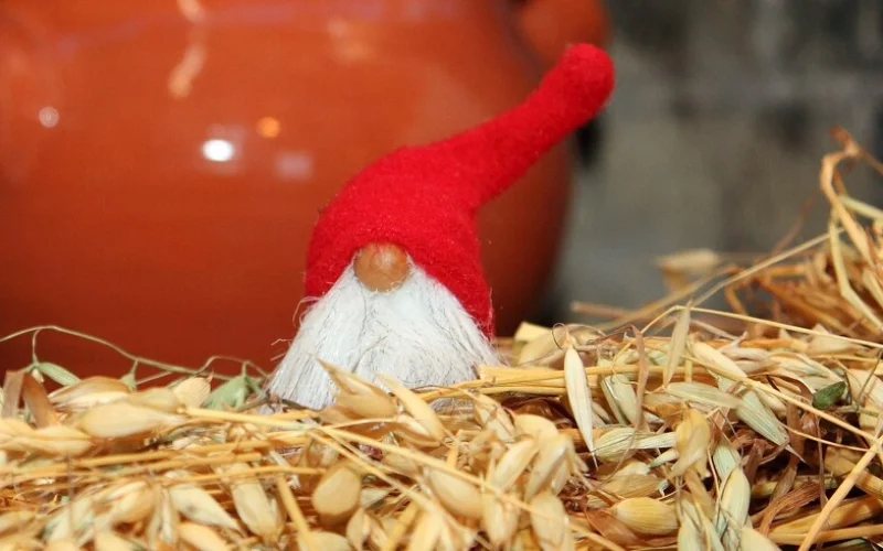 Finnische Weihnachtsbräuche und Spaziergang auf dem Tonttupolku