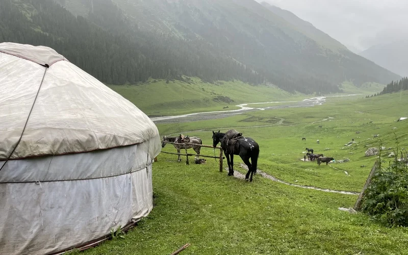 Fahrt in die Altyn-Araschan Tal