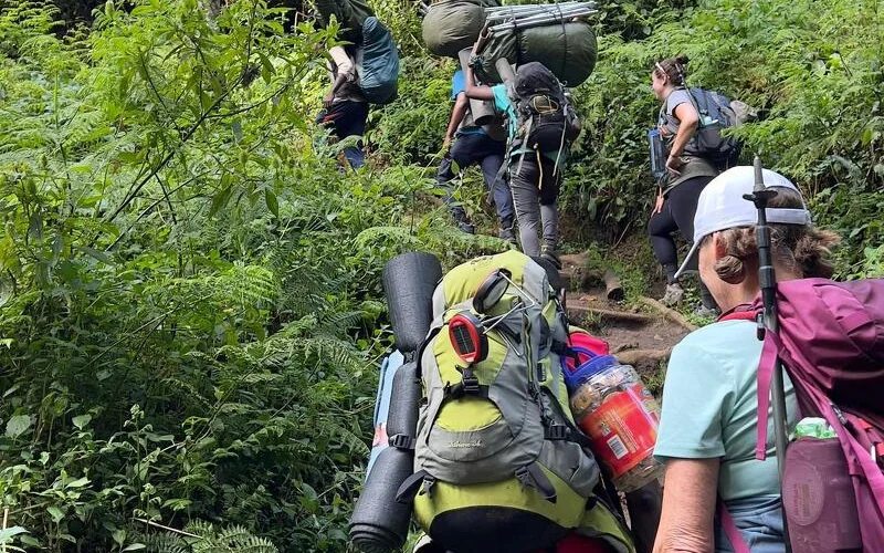 Abstieg durch den Regenwald zum Mweka Gate