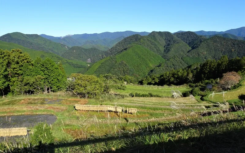 Erste Wanderetappe auf dem Pilgerweg Kumano Kodo