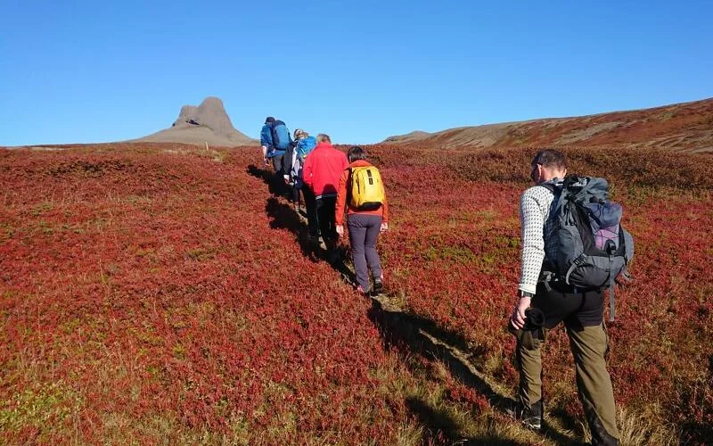 Auf in die Westfjorde!