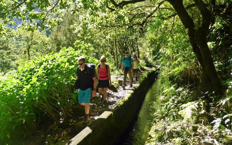 Lorbeerwald, Levada und ein atemberaubendes Tal (Hotelwechsel)