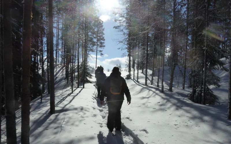 Schneeschuhwanderung im Hiidenportti-Nationalpark, Abschiedsabendessen