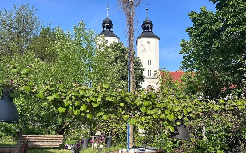 Erste Radour entlang der Weichsel und durch den Niepolomice Urwald