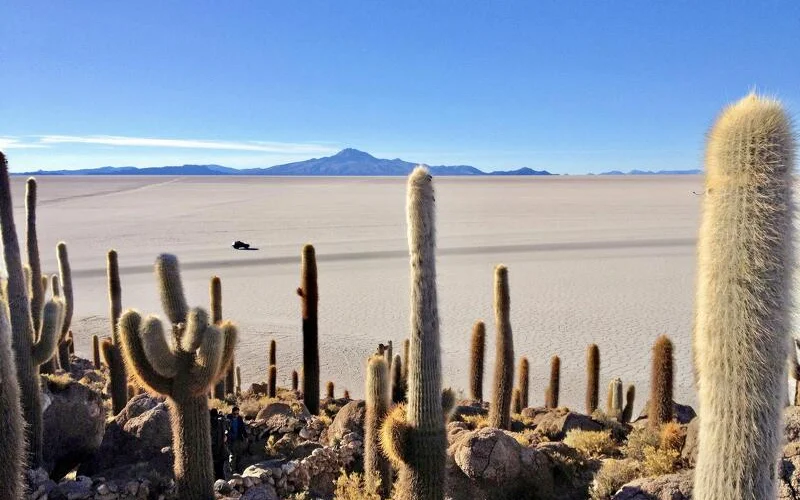 Erkundung des Salzsees von Uyuni und der Kakteeninsel Incahuasi