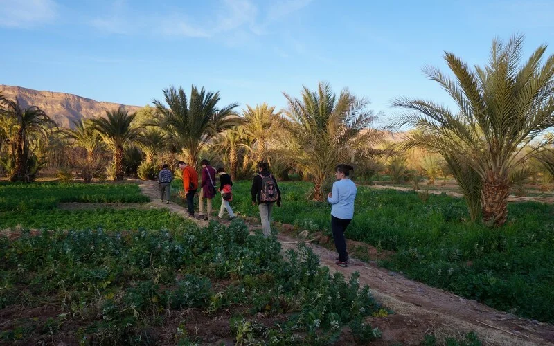 Grünes Oasental, Zagora und Besichtigung der Kasbah Tamnougalt