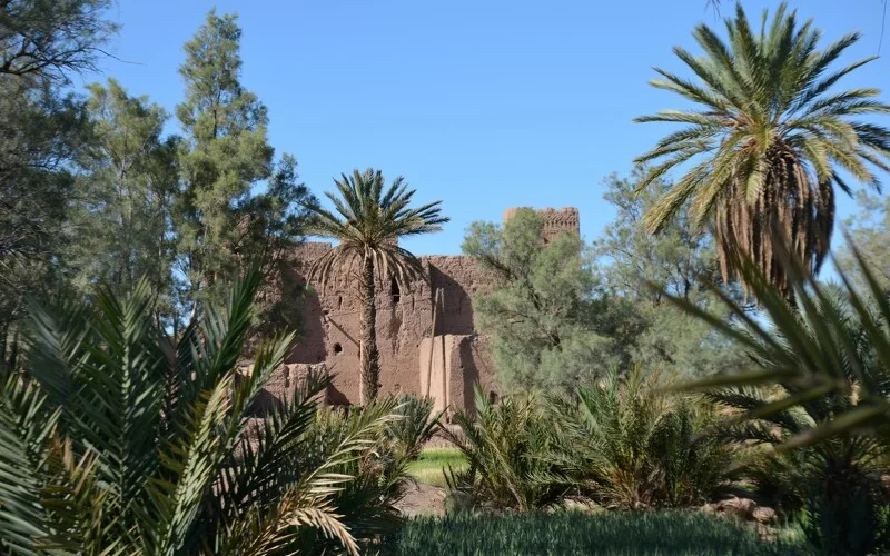 Wanderung durch die Canyons von Taghia und Kasbah-Besichtigung