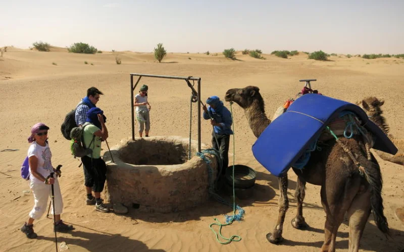 Wüstentrekking: Wanderung durch die Sahara und Fahrt nach Nkob