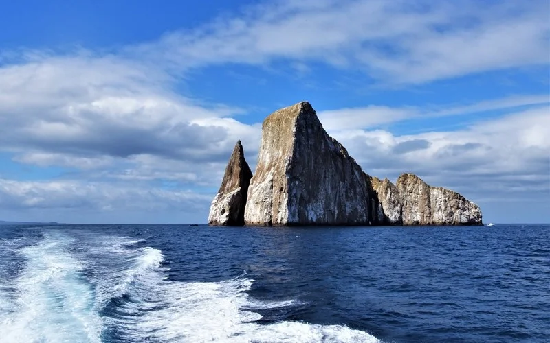 Bootsausflug zur paradiesischen Unterwasserwelt des Kicker Rocks 