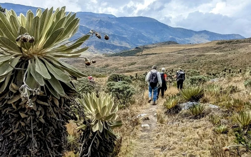 Akklimatisierungswanderung im Gebirge Sierra Nevada del Cocuy-Gebirge