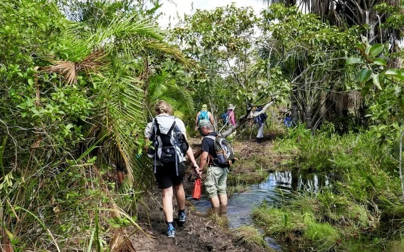 Flusswanderung und Besuch einer Forschungsstation im Regenwald